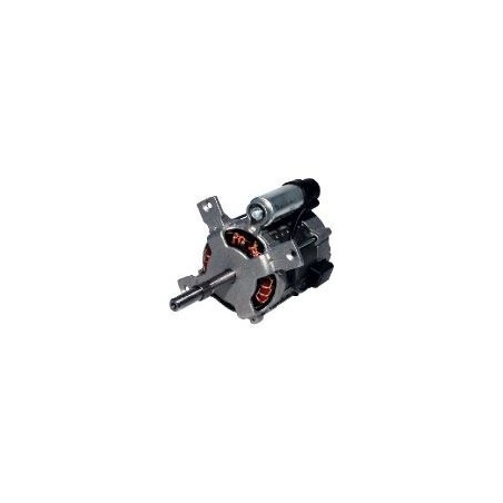 Moteur 250W
