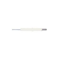 Electrode ionisation