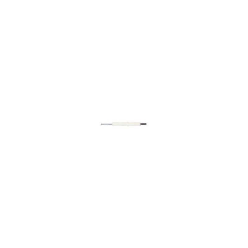 Electrode ionisation