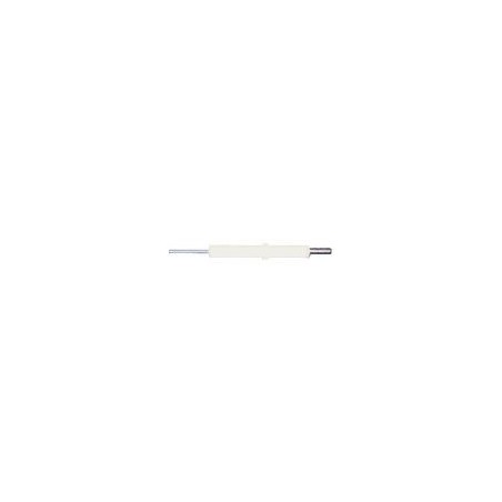 Electrode ionisation