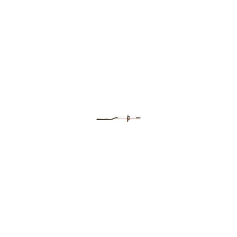 Electrode ionisation