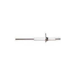 Electrode ionisation