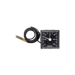 Thermometre