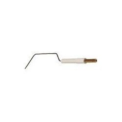 Electrode ionisation