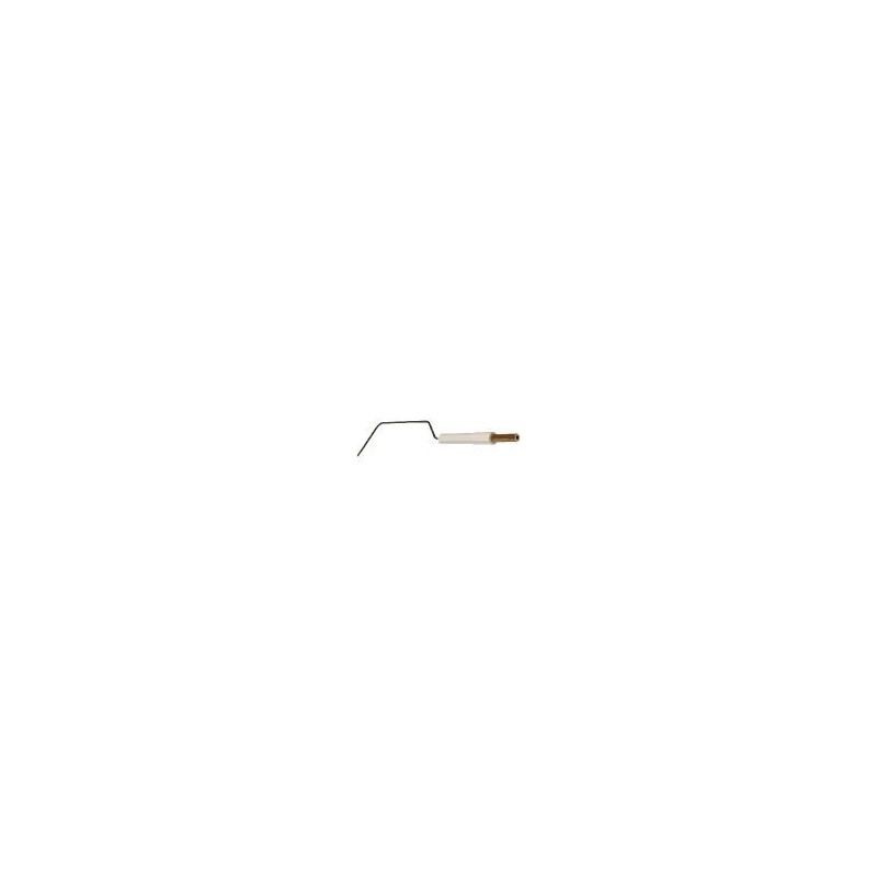 Electrode ionisation