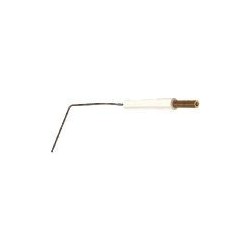Electrode ionisation