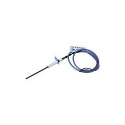 Electrode ionisation