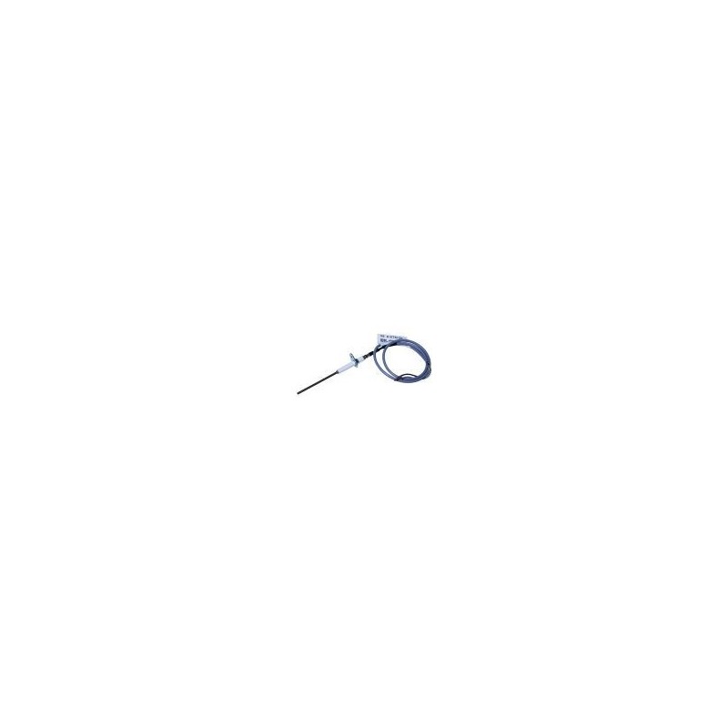 Electrode ionisation
