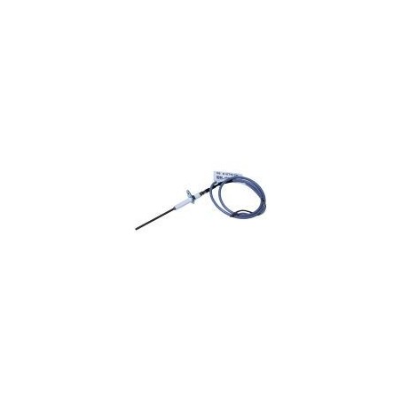 Electrode ionisation