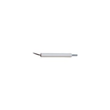 Electrode